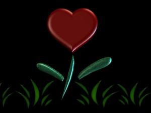 heartflower.jpg